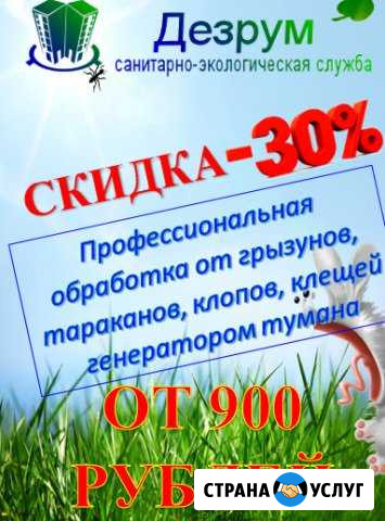 Уничтожение тараканов,клопов,муравьев,мышей Чебоксары - изображение 1