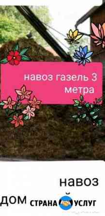 Навоз в мешках и газелью Лысьва