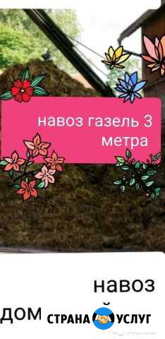 Навоз в мешках и газелью Лысьва - изображение 1