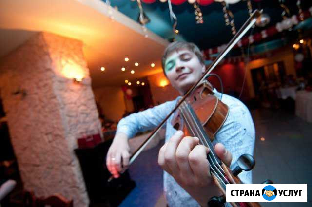 Скрипач в подарок Новый Уренгой - изображение 1