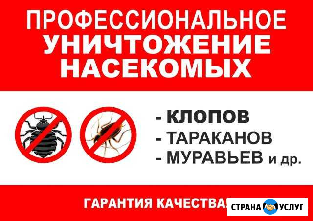 Дезинфекции помещений, домов и квартир и уничтожен Сысерть - изображение 1
