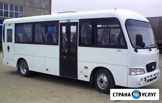Пассажирские перевозки Таганрог - изображение 1