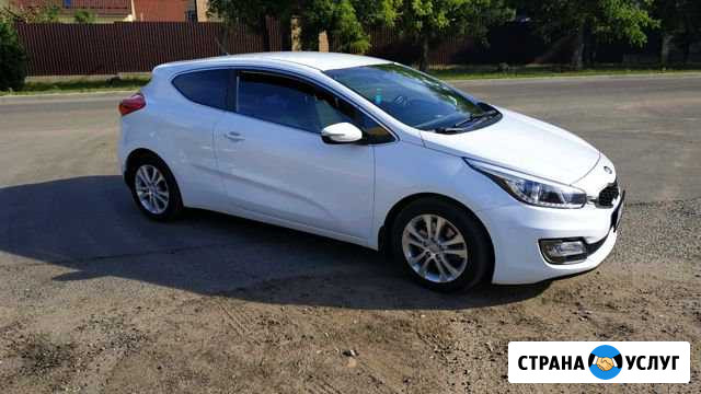 Чип Тюнинг Kia / Hyundai Серпухов - изображение 1