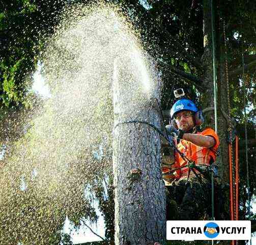 Спилить деревья. Вырубка деревьев.Расчистка участк Чехов