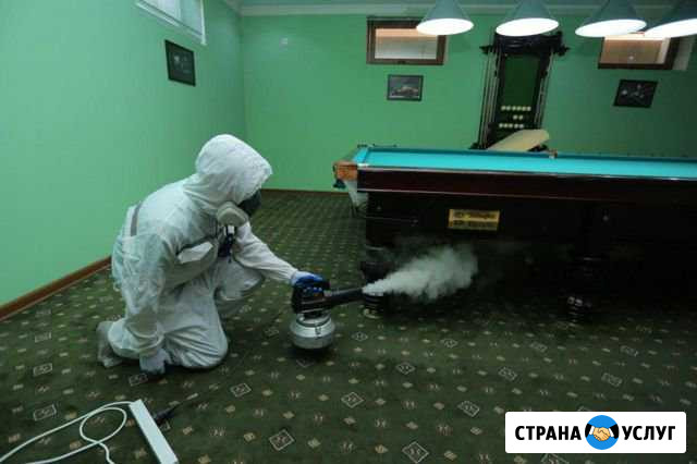 Дезинсекция-дератизация-дезинфекция Ногинск - изображение 1