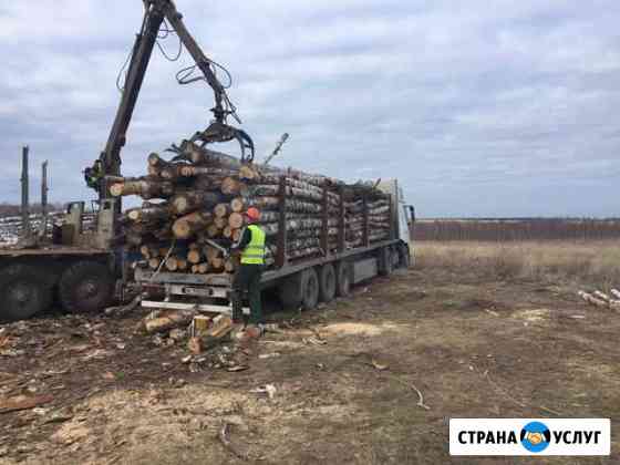 Лесовозы Челябинск