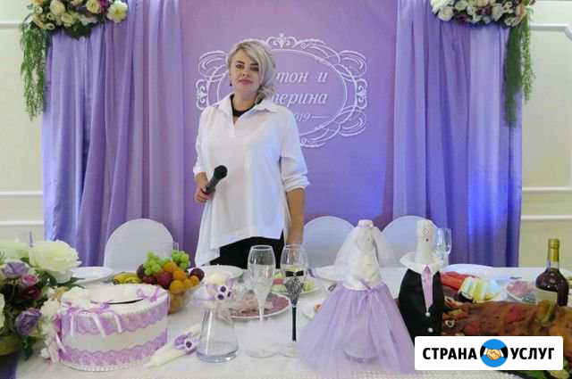 Ведущий+тамада+диджей Губкин - изображение 1