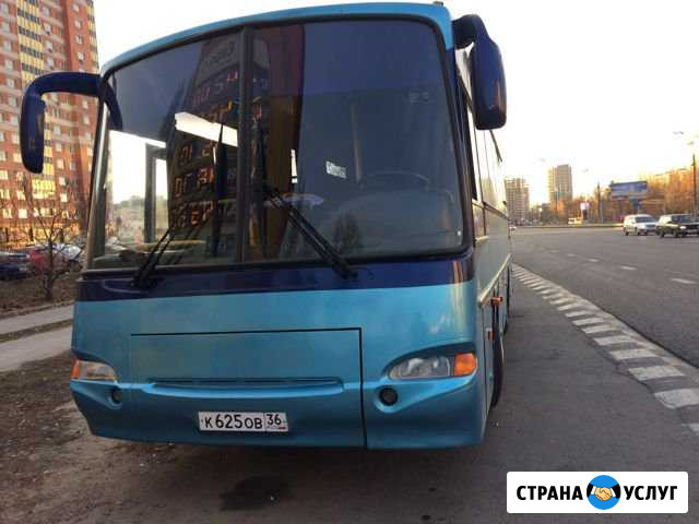 Аренда / заказ автобуса 31 место Воронеж - изображение 1