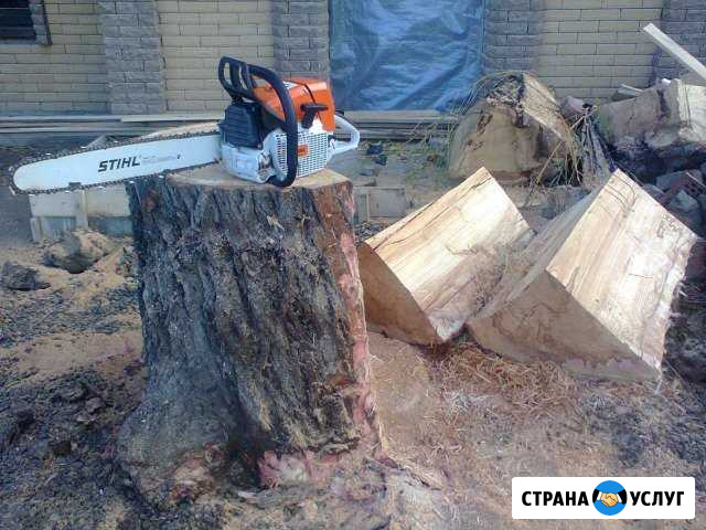 Спил деревьев любой сложности, автовышка вывоз Азов - изображение 1