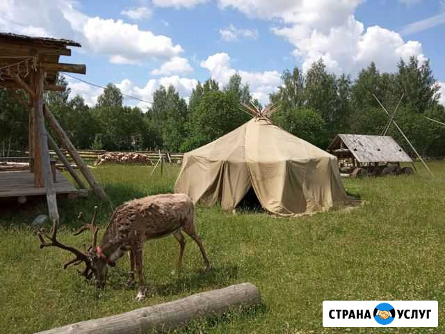 Шьем накидки, полога,чехлы Сергиев Посад - изображение 1