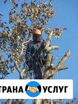Спиливание, опил деревьев Донское - изображение 1