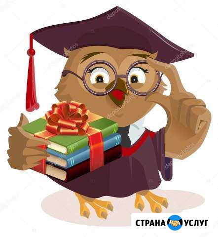 Репетитор по обществознанию и истории Саранск - изображение 1