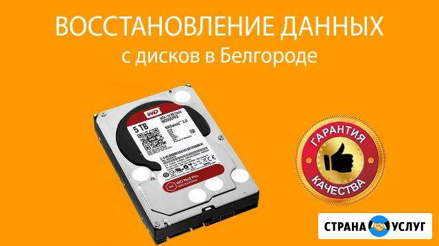 Восстановление данных в Белгороде Белгород - изображение 1