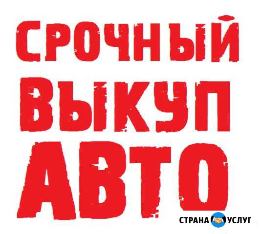 Срочный выкуп авто. Помощь в покупке Челябинск - изображение 1