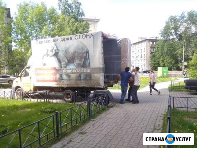 Грузоперевозки, грузчики, переезды Санкт-Петербург - изображение 1