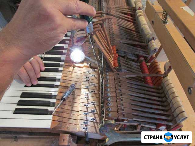 Профессиональная настройка пианино и роялей Москва - изображение 1