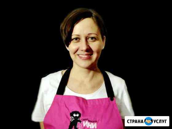 Стрижка собак. Услуги грумера в Царицыно Москва