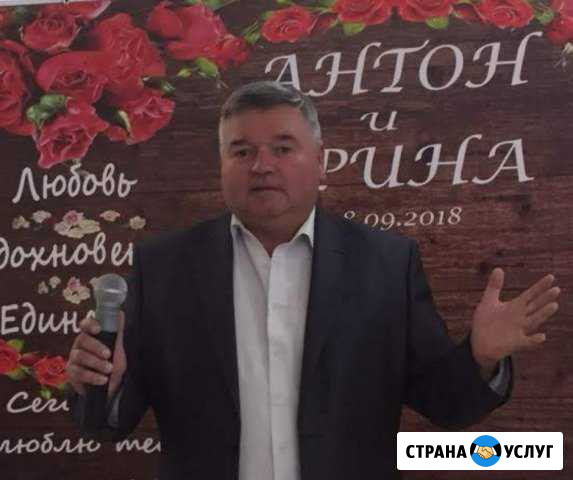 Ведущий на свадьбу, юбилей Курск - изображение 1
