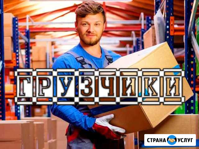 Грузчики Лобня - изображение 1