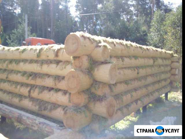 Срубы на заказ Рошаль - изображение 1