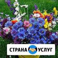 Генеральная и поддерживающая уборка Красногорск