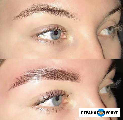 Окрашивание бровей/Ламинирование ресниц Сургут - изображение 1