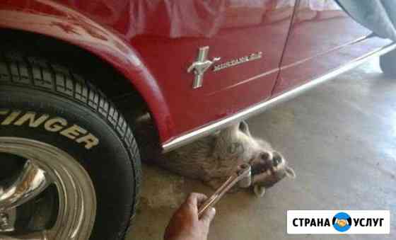 Ремонт вашего авто Ярославль