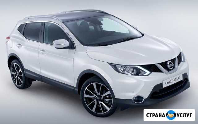 Аренда авто для свадьбы Паркетник, кроссовер, джип Новороссийск - изображение 1
