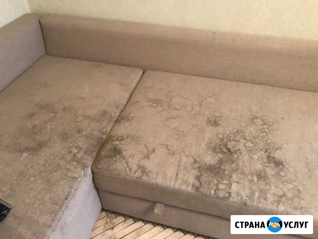 Евро химчистка диванов ковров матрасов.В Москве и Москва - изображение 1