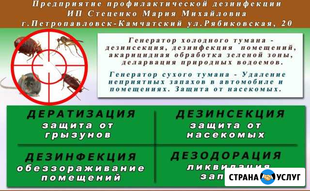 Уничтожение грызунов и насекомых. тараканы, клопы Петропавловск-Камчатский - изображение 1