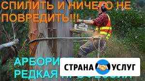 Спил деревьев,покос,корчевка,расчистка участка Таганрог