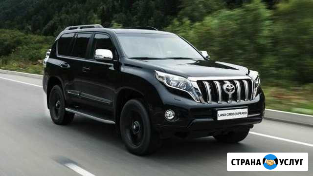 Сдаётся в аренду автомобиль с водителем Новый Уренгой - изображение 1