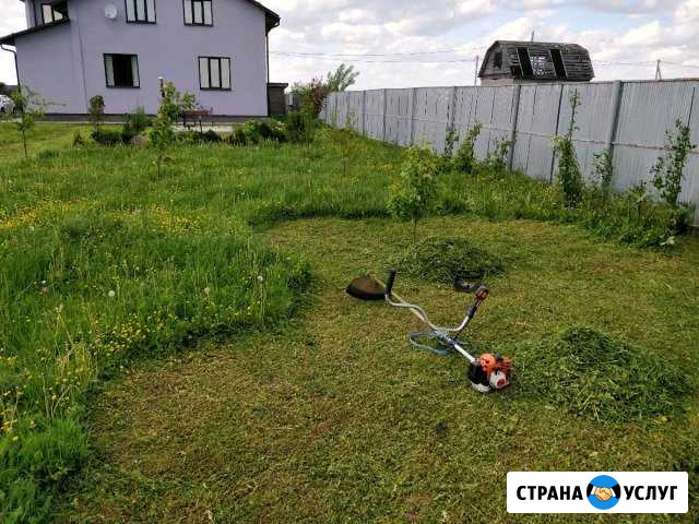 Покос травы бензинoвым триммeрoм Клин - изображение 1