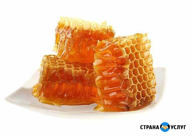 Мёд Подольск - изображение 1