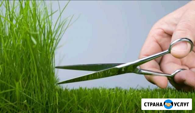 Покос Травы Валуйки - изображение 1