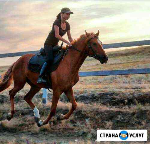 Верховая езда. Саадак Волгоград