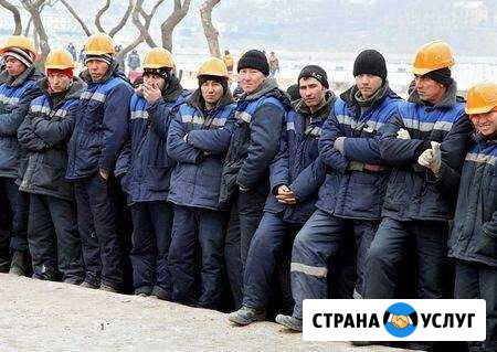 Разнорабочие Солнечногорск - изображение 1
