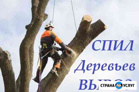 Спил деревьев в Курске Курск