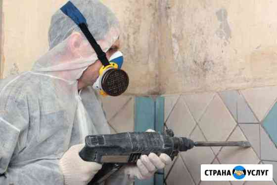 Ремонт квартир (полный и частичный).проемы,демонта Шахты