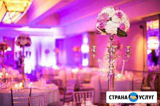 Свадебная праздничная подсветка (аплайтинг) Сочи