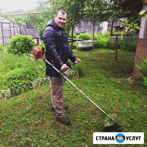Покос травы Псков