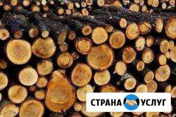 Дрова с доставкой Санкт-Петербург