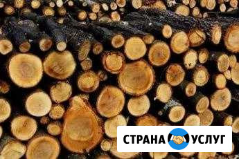 Дрова с доставкой Санкт-Петербург - изображение 1