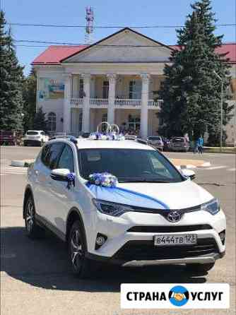 Прокат (аренда) с водителем toyota RAV на свадьбу Армавир