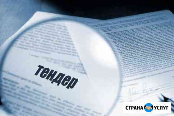 Тендерный эксперт (сопровождение, аккредитация) Хабаровск