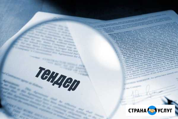 Тендерный эксперт (сопровождение, аккредитация) Хабаровск - изображение 1