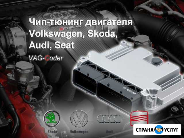 Чип-тюнинг двигателя на VW, Skoda, Audi, Seat Пермь - изображение 1