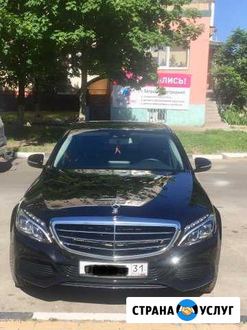 Водитель с личным авто Белгород - изображение 1