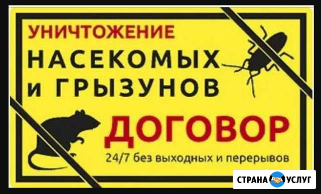 Уничтожение тараканов клопов клещей Тихорецк Тихорецк - изображение 1