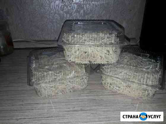Домашняя лапша Белорецк